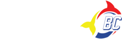 Ringette BC